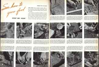 Better Homes & Gardens April 1944 Magazine Article: Page 16