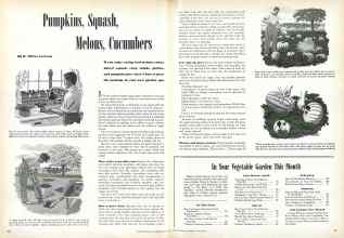 Better Homes & Gardens May 1944 Magazine Article: Pumpkins, Squash, Melons, Cucumbers