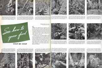 Better Homes & Gardens May 1944 Magazine Article: See how to grow food