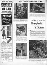 Better Homes & Gardens June 1944 Magazine Article: THINGS TO DO WITH Houseplants in Summer