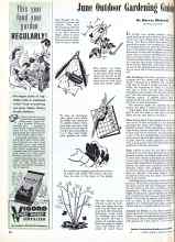 Better Homes & Gardens June 1944 Magazine Article: June Outdoor Gardening Guide