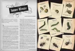 Better Homes & Gardens June 1944 Magazine Article: Summer Offensive