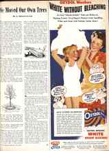 Better Homes & Gardens July 1944 Magazine Article: We Moved Our Own Trees