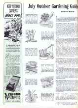 Better Homes & Gardens July 1944 Magazine Article: July Outdoor Gardening Guide
