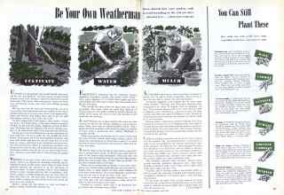 Better Homes & Gardens July 1944 Magazine Article: Be Your Own Weatherman