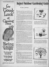 Better Homes & Gardens August 1944 Magazine Article: August Outdoor Gardening Guide