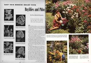 Better Homes & Gardens August 1944 Magazine Article: Daylilies and Phlox
