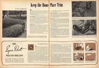 Better Homes & Gardens August 1944 Magazine Article: THIS Spore Dust WILL SAVE YOUR LAWN