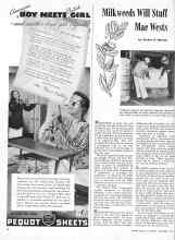 Better Homes & Gardens September 1944 Magazine Article: Milkweeds Will Stuff Mae Wests