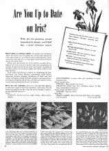 Better Homes & Gardens September 1944 Magazine Article: Are You Up to Date on Iris?