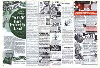 Better Homes & Gardens September 1944 Magazine Article: Page 102