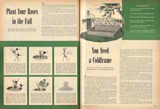 Better Homes & Gardens October 1944 Magazine Article: Page 24