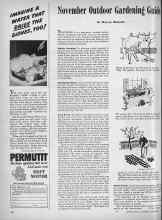 Better Homes & Gardens November 1944 Magazine Article: November Outdoor Gardening Guide