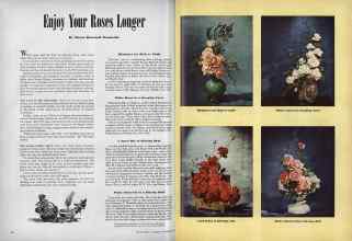 Better Homes & Gardens November 1944 Magazine Article: Enjoy Your Roses Longer