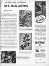 Better Homes & Gardens December 1944 Magazine Article: Get the Best in Small Trees