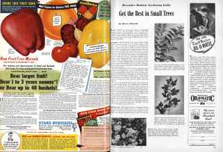 Better Homes & Gardens December 1944 Magazine Article: Page 72