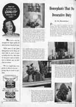 Better Homes & Gardens January 1945 Magazine Article: Houseplants That Do Decorative Duty