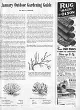 Better Homes & Gardens January 1945 Magazine Article: January Outdoor Gardening Guide