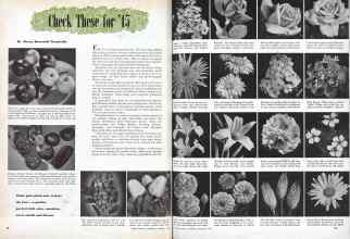 Better Homes & Gardens January 1945 Magazine Article: Check These for '45