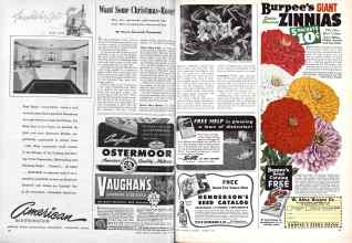 Better Homes & Gardens January 1945 Magazine Article: Want Some Christmas-Roses?