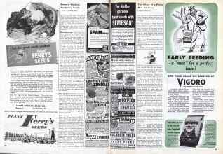 Better Homes & Gardens January 1945 Magazine Article: Page 64