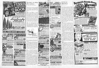 Better Homes & Gardens January 1945 Magazine Article: Page 66