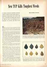 Better Homes & Gardens February 1945 Magazine Article: New TCP Kills Toughest Weeds