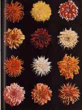 Better Homes & Gardens February 1945 Magazine Article: Old Glass Loves a Sunlit Window