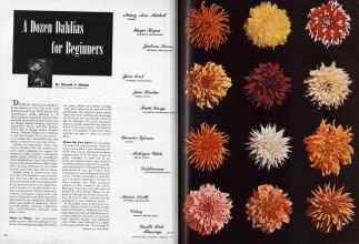 Better Homes & Gardens February 1945 Magazine Article: Page 22