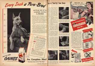 Better Homes & Gardens February 1945 Magazine Article: Page 58