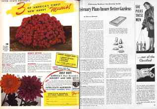 Better Homes & Gardens February 1945 Magazine Article: Page 90