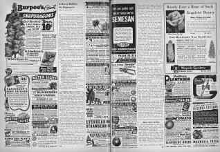 Better Homes & Gardens February 1945 Magazine Article: Page 96