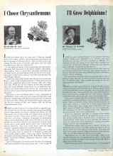 Better Homes & Gardens March 1945 Magazine Article: I Choose Chrysanthemums