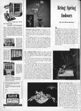 Better Homes & Gardens March 1945 Magazine Article: Bring Spring Indoors