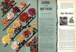 Better Homes & Gardens March 1945 Magazine Article: LEADERS in the ROSE PARADE