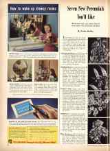 Better Homes & Gardens April 1945 Magazine Article: Seven New Perennials You'll like