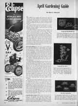 Better Homes & Gardens April 1945 Magazine Article: April Gardening Guide