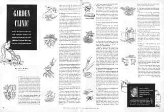 Better Homes & Gardens April 1945 Magazine Article: GARDEN CLINIC