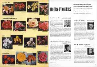 Better Homes & Gardens April 1945 Magazine Article: Page 24