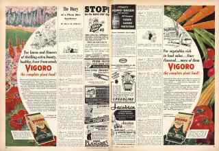 Better Homes & Gardens April 1945 Magazine Article: The Diary of a Plain Dirt Gardener
