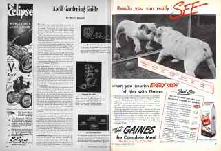 Better Homes & Gardens April 1945 Magazine Article: Page 94