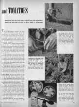 Better Homes & Gardens May 1945 Magazine Article: Article