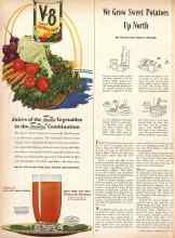 Better Homes & Gardens May 1945 Magazine Article: We Grow Sweet Potatoes Up North