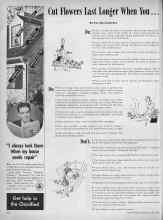 Better Homes & Gardens June 1945 Magazine Article: Cut Flowers Last Longer When You...