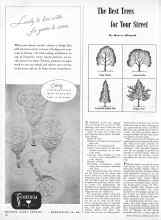 Better Homes & Gardens June 1945 Magazine Article: The Best Trees for Your Street
