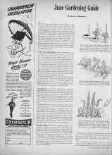 Better Homes & Gardens June 1945 Magazine Article: June Gardening Guide
