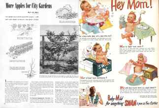 Better Homes & Gardens June 1945 Magazine Article: Page 32