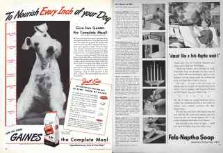 Better Homes & Gardens June 1945 Magazine Article: Page 56