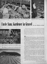 Better Homes & Gardens August 1945 Magazine Article: Uncle Sam, Gardener in Gravel