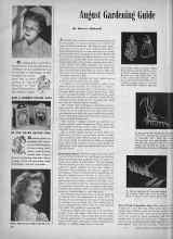 Better Homes & Gardens August 1945 Magazine Article: August Gardening Guide